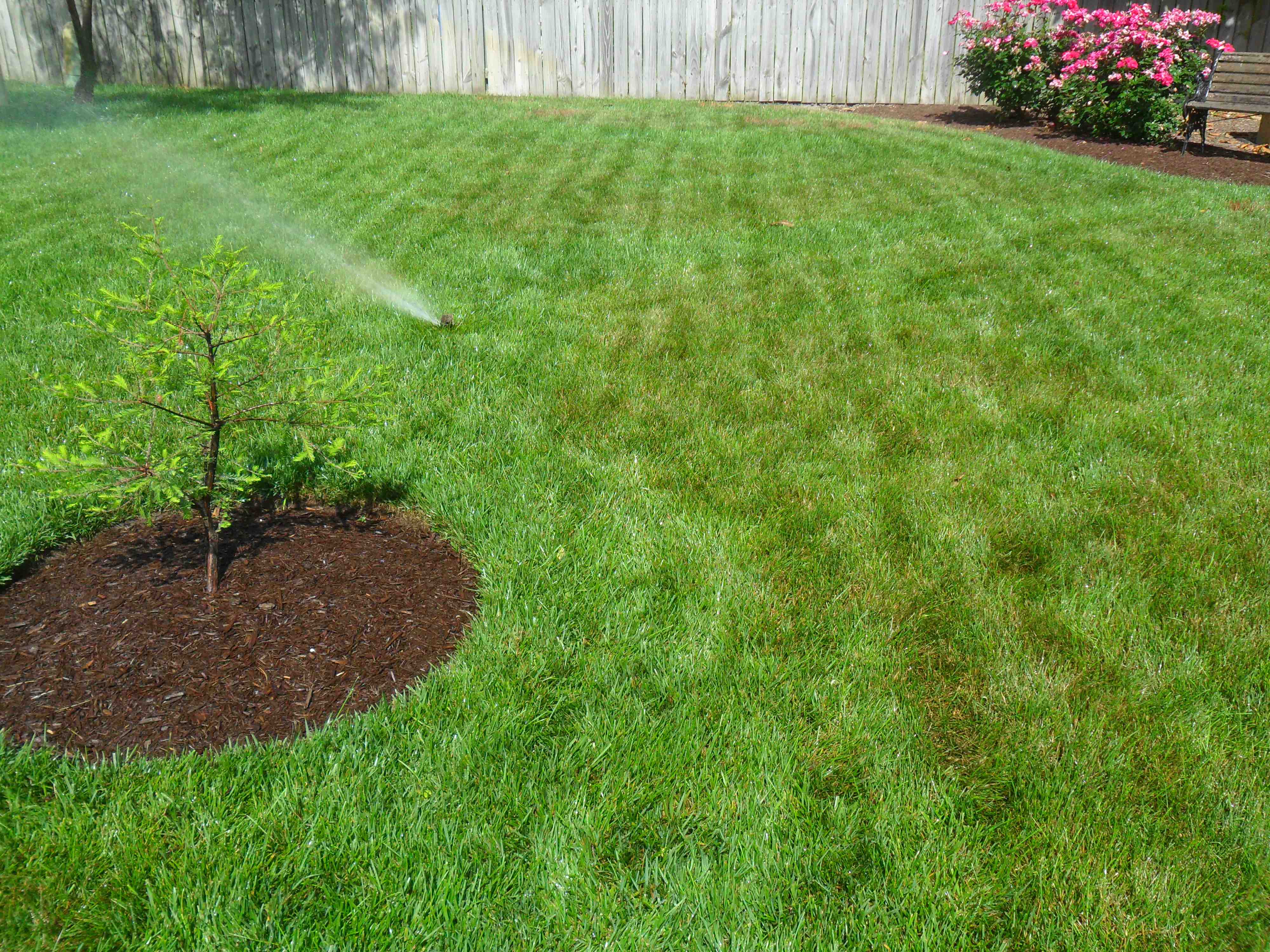 landscaping services